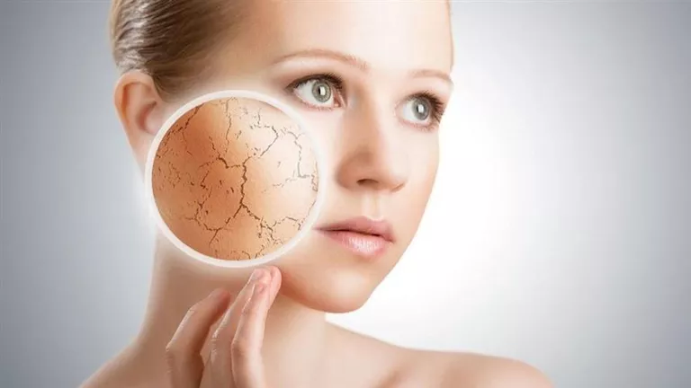 الأفوكادو: سر البشرة النضرة في الشتاء الأفوكادو: سر البشرة النضرة في الشتاء