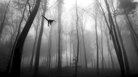 25 صورة مذهلة تكشف عن عوالم أخرى في أعمال فرانك ماتشالوفسكي 25 صورة مذهلة تكشف عن عوالم أخرى في أعمال فرانك ماتشالوفسكي