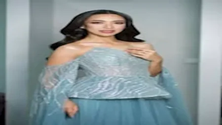 غير مناسبة للحدث.. أسوأ فساتين ملكات الجمال لعام 2025