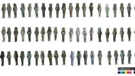 في اكتشاف نادر.. العثور على 225 تمثالا جنائزيا في تانيس بمصر القديمة (صور)