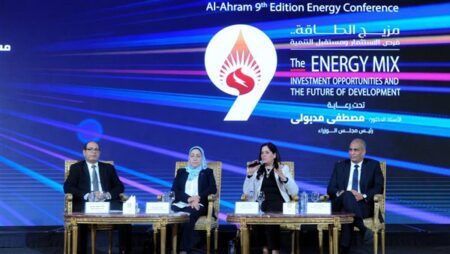 الخبراء يؤكدون: قطاع التعدين واعد.. و«السكري» من أهم 10 مناجم عالميًا