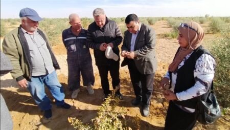 "الزراعة" تستعرض أنشطة "مكافحة الآفات" خلال نوفمبر