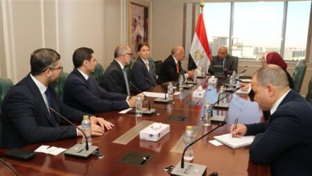 مصر والسويد تبحثان الشراكة في مشروعات الطاقة النظيفة وتحديث الشبكة الكهربائية مصر والسويد تبحثان الشراكة في مشروعات الطاقة النظيفة وتحديث الشبكة الكهربائية