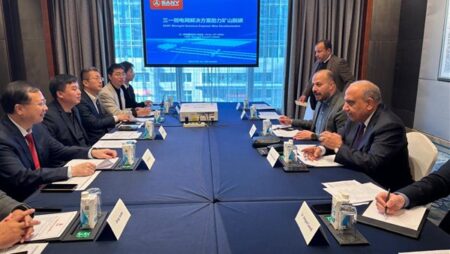 وزير الكهرباء يبحث مع "صاني" الصينية التعاون في الطاقة المتجددة وزير الكهرباء يبحث مع "صاني" الصينية التعاون في الطاقة المتجددة