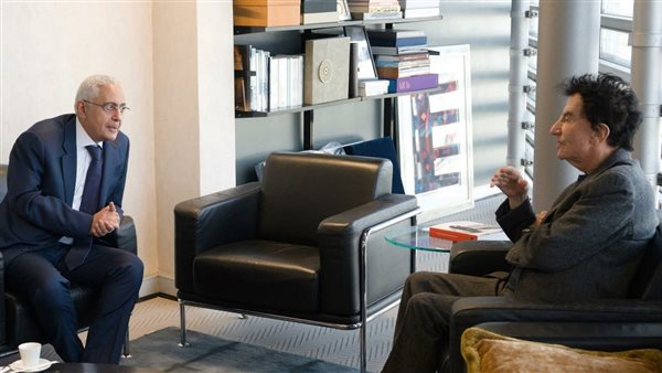 سفير مصر في باريس يلتقي برئيس معهد العالم العربي لتعزيز التعاون الثقافي المشترك سفير مصر في باريس يلتقي برئيس معهد العالم العربي لتعزيز التعاون الثقافي المشترك