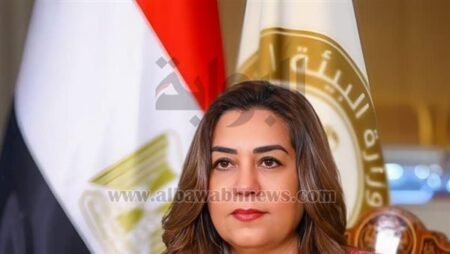 وزيرة التنمية المحلية والبيئة تعلن الإمساك بتمساح مصرف قرية الزوامل بالشرقية وزيرة التنمية المحلية والبيئة تعلن الإمساك بتمساح مصرف قرية الزوامل بالشرقية