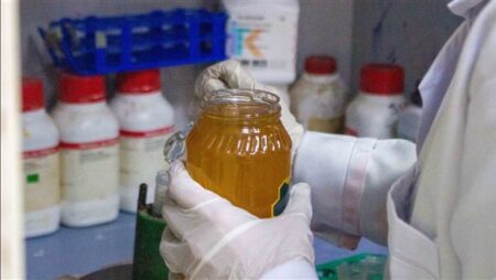 "الزراعة" تستعرض أبرز أنشطة المعمل المركزي لمتبقيات المبيدات