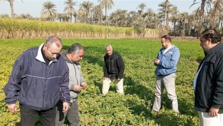 "الزراعة" تتابع موقف النمل الأبيض وتتفقد الزراعات الشتوية في محافظات الصعيد