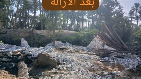 محافظة الجيزة تزيل 144 حالة تعدٍ على الأراضي الزراعية خلال نوفمبر محافظة الجيزة تزيل 144 حالة تعدٍ على الأراضي الزراعية خلال نوفمبر