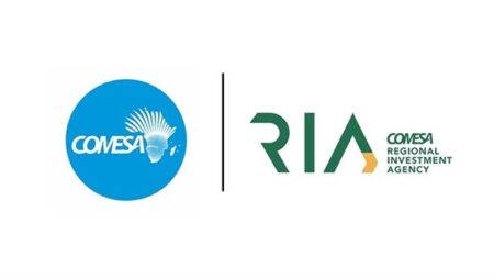 بقيمة 65 مليار دولار.. "الكوميسا": صفقة «رأس الحكمة» تقفز بالتدفقات الاستثمارية الأجنبية