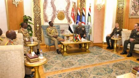 الفريق أحمد خليفة رئيس أركان حرب القوات المسلحة يلتقي قائد قوات الدفاع المالاوى.. شاهد