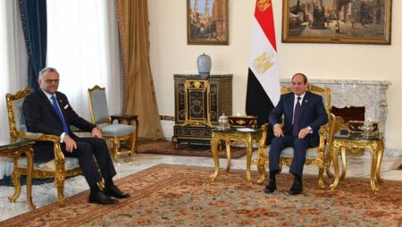 السيسي يستقبل كبير مستشاري ترامب للشئون العربية والأفريقية.. فيديووصور