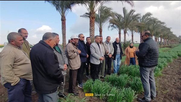 "الزراعة" تتفقد حالة المحاصيل الشتوية في محافظة الغربية لتقديم الدعم الفني للمزارعين "الزراعة" تتفقد حالة المحاصيل الشتوية في محافظة الغربية لتقديم الدعم الفني للمزارعين