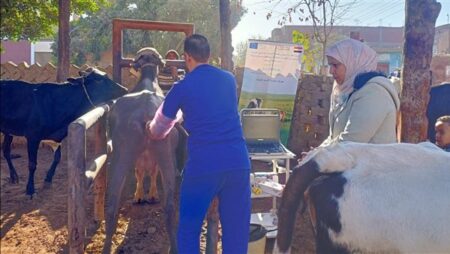 ​"الزراعة" تطلق 5 قوافل بيطرية مجانية ببني سويف وتفحص 1600 رأس ماشية
