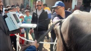 "الزراعة" تطلق قوافل بيطرية مجانية في قرى سوهاج