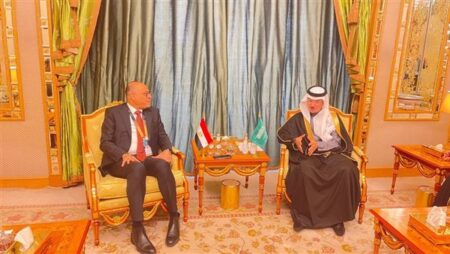 وزير العمل يلتقي نائب وزير الموارد البشرية السعودي