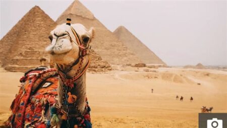 صحيفة The Sun: مصر من أفضل 10 وجهات سياحية للبريطانيين 2026