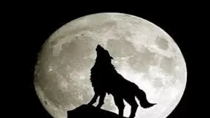 "يظهر غدا".. 12 صورة لظاهرة قمر الذئب العملاق الكامل