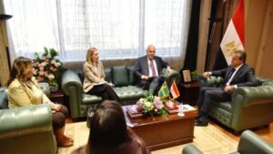 وزير الصحة يستقبل السفير السويدى لبحث تعزيز التعاون في القطاع الصحي