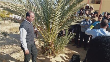 الزراعة: جهود مكثفة لمكافحة سوسة النخيل الحمراء وحماية أكثر من 22 مليون نخلة