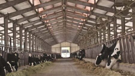 “الزراعة” تستعرض جهود قطاع تنمية الثروة الحيوانية والداجنة خلال النصف الأول من يناير