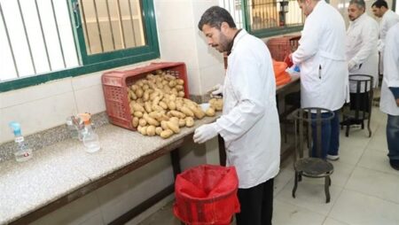 الزراعة تكشف عن جهود وأنشطة المعمل المركزي حتى نهاية ديسمبر الماضي