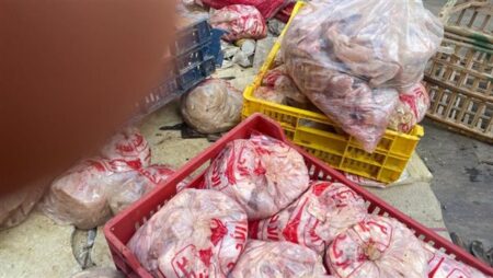 التموين تضبط دواجن ولحمة مفرومة غير صالحة للاستخدام الآدمي قبل بيعها للمواطنين بالقليوبية