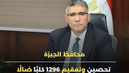 "النجار" يوجه رؤساء الأحياء والمراكز بتوفير أماكن لإقامة شلاتر لتحصين وتعقيم الكلاب الضالة