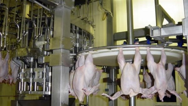 تسجيل 2198 فرعًا تتبع 59 سلسلة تجارية بالهيئة حتى الآن تسجيل 2198 فرعًا تتبع 59 سلسلة تجارية بالهيئة حتى الآن