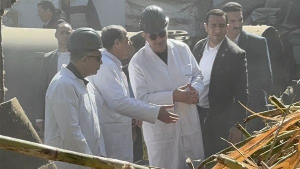 توريد 48 ألف طن قصب إلى مصنع سكر أبو قرقاص بالمنيا توريد 48 ألف طن قصب إلى مصنع سكر أبو قرقاص بالمنيا