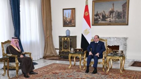 السيسي ووزير خارجية السعودية يؤكدان ضرورة التوصل لحلول سلمية لأزمات المنطقة (صور)