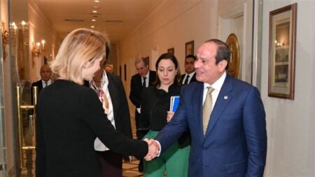 رسائل السيسي لـ الممثلة العليا للشؤون الخارجية والسياسة الأمنية للاتحاد الأوروبي.. شاهد رسائل السيسي لـ الممثلة العليا للشؤون الخارجية والسياسة الأمنية للاتحاد الأوروبي.. شاهد