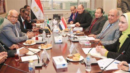 "عصمت" يبحث مع وزير النفط والطاقة السوداني دعم وتعزيز الشراكة فى مجالات الكهرباء