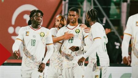 كأس الأمم الأفريقية 2025.. الكاميرون تعبر موزمبيق وتضرب موعدا مع جنوب أفريقيا