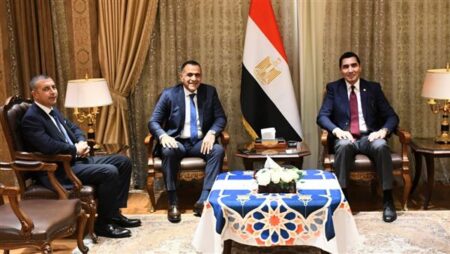 وزير الشباب والرياضة يستقبل رئيس الشركة الإفريقية لبحث التعاون المشترك