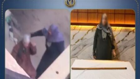 الداخلية تكشف ملابسات فيديو التعدي على سيدة مسنة بالشرقية