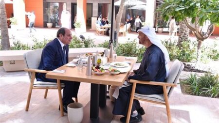 نشاط الرئيس في أسبوع.. السيسي يشهد أداء اليمين الدستورية للوزراء الجدد.. ويبحث مع بن زايد تعزيز الاستمارات الإماراتية بمصر.. ويستقبل رئيسي الصومال والاستخبارات الروسية.. ويترأس النيباد