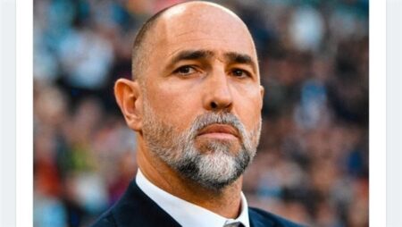 رسميا.. توتنهام يعين إيجور تودور مديرا فنيا حتى نهاية الموسم