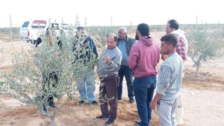 "بحوث الصحراء" يواصل مبادرة "اسأل واستشير" لدعم التجمعات الزراعية بسيناء للأسبوع الثالث