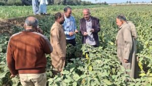 "الزراعة" تكثف أنشطتها الميدانية بـ 18 محافظة خلال النصف الأول من فبراير