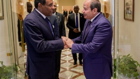 السيسي يستقبل رئيس وزراء السودان ويلتقي رئيسي شركتي سكاتك وإنفجين إنرجي (فيديو) السيسي يستقبل رئيس وزراء السودان ويلتقي رئيسي شركتي سكاتك وإنفجين إنرجي (فيديو)