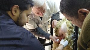 "التناسليات الحيوانية" يختتم دورة تدريبية لأطباء بيطريين حول تقنيات التلقيح الاصطناعي