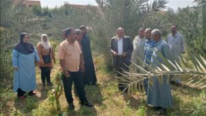 27 ألف نشاط متنوع خلال 2025.. "الزراعة" تنجح في دعم 715 ألف مزارع بالريف