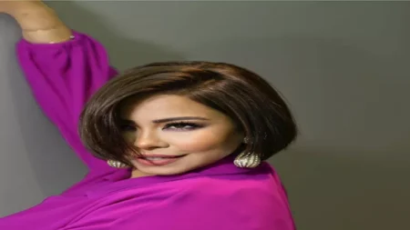 370 ألف دولار.. محامي شيرين عبدالوهاب يعلن انتصارها في قضية يوتيوب