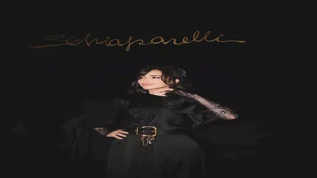 بفستان أسود أنيق.. بسمة بوسيل تخطف الأنظار في سحور بدبي