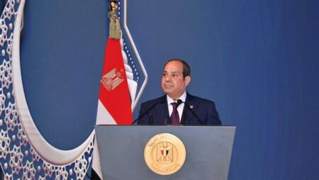 السيسي يدعو الأتراك للاستثمار في بناء شراكات لوجستية وخطوط نقل بحرى