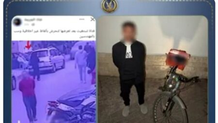 الداخلية تكشف ملابسات واقعة تحرش لفظي بسيدة في الجيزة