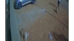 الداخلية تكشف ملابسات فيديو التعدي على كلب ضال بمنطقة 6 أكتوبر