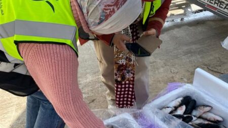 الأسبوع الماضي.. "سلامة الغذاء" تفحص 354 طلب تظلم وارد من الموانئ المختلفة