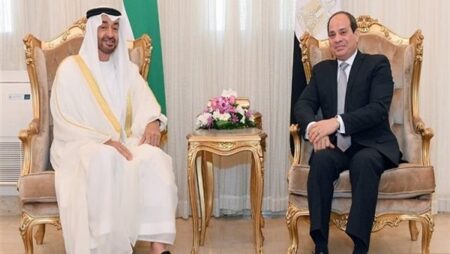 قمة مصرية إماراتية اليوم لتعزيز التنسيق بشأن الأزمات الإقليمية والدولية